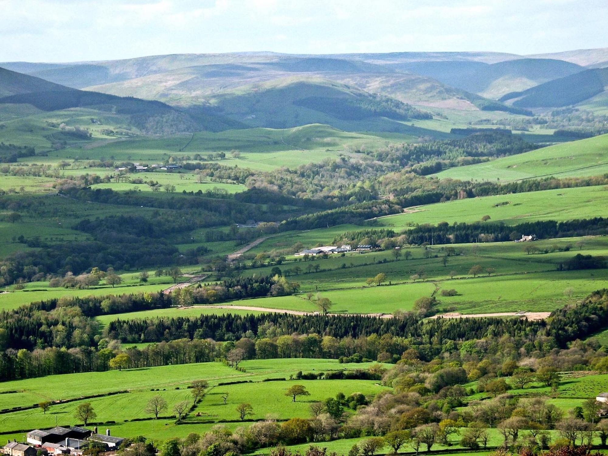 Gibbon Bridge Hotel